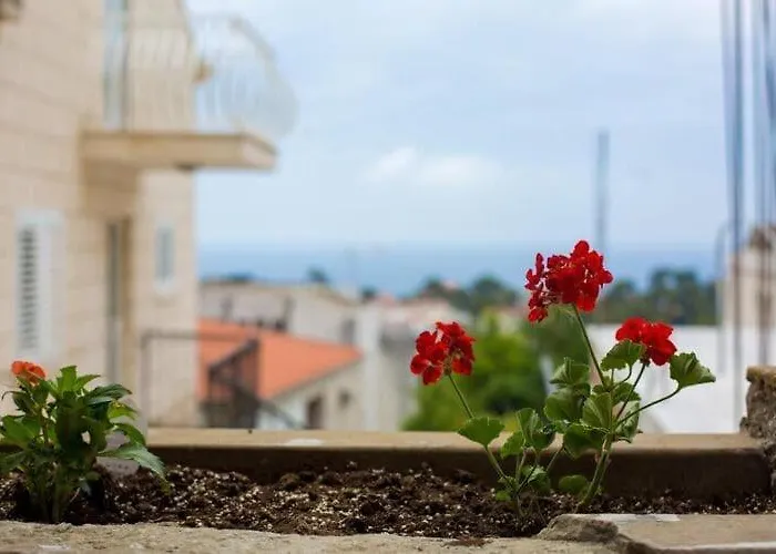 Serious Job - One Bedroom With Shared Terrace Ve I Διαμέρισμα Ντουμπρόβνικ